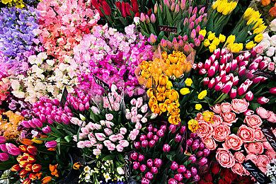 《真人快打1》NS早期版本泄露 存在掉帧等问题